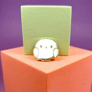 Pin’s Sorcier Edwige